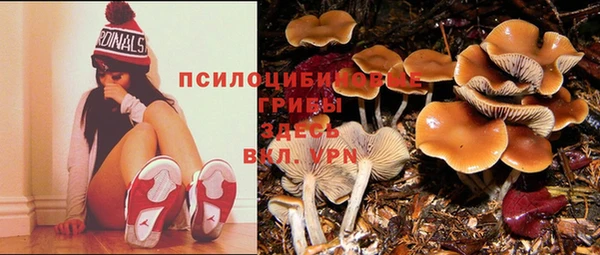 MDMA Premium VHQ Арсеньев