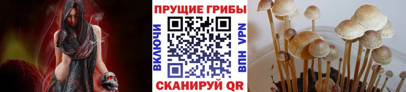 где купить наркоту  МЕГА рабочий сайт  Псилоцибиновые грибы ЛСД  Старая Купавна 
